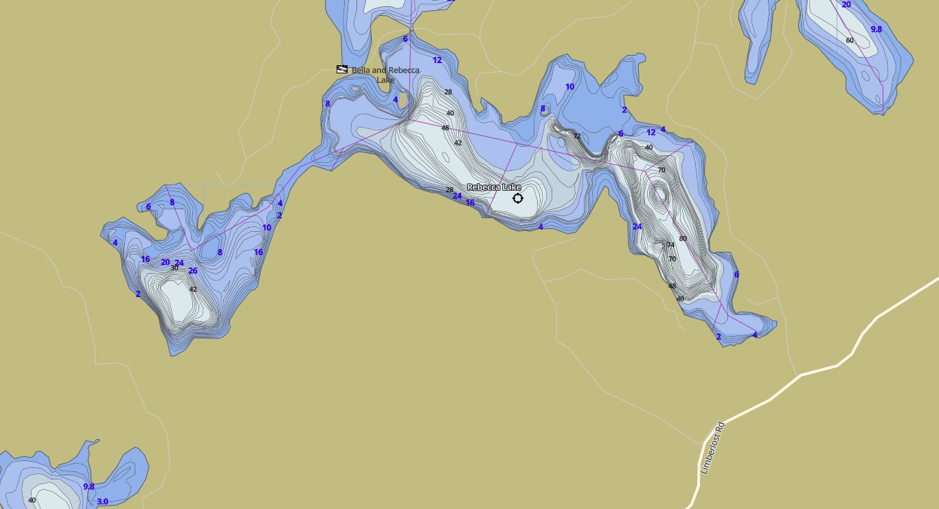 Contour Map of Rebecca Lake in Municipality of Lake of Bays and the District of Muskoka